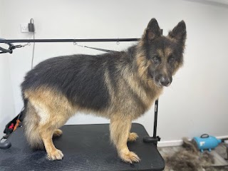 Barks and Bubbles Dog Grooming by Jade