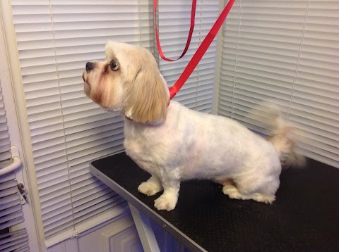 www.doggroomingleeds.co.uk