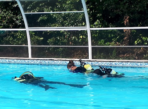 The Forest School Swimming Pool