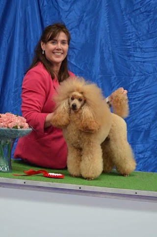 Dublin Dog Grooming