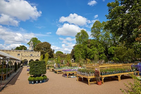 The Courtyard Restaurant Syon Park