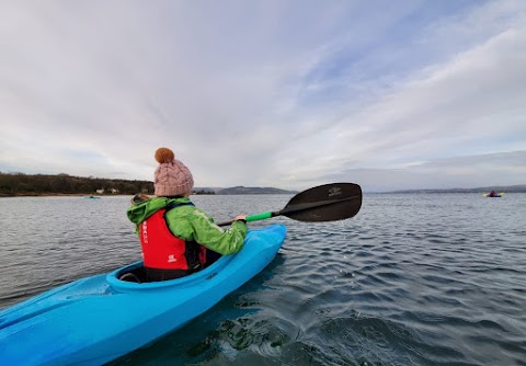 Driftwood Adventure