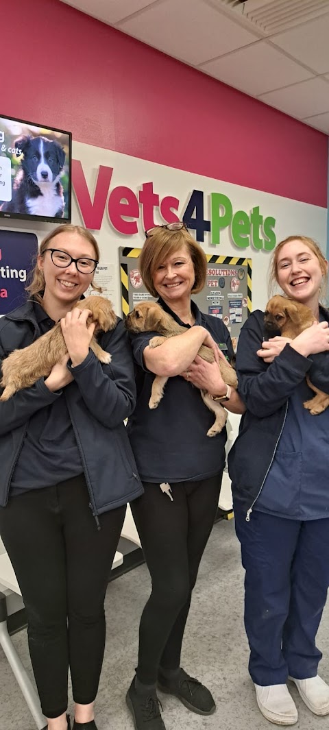 Vets4Pets - Leamington Spa