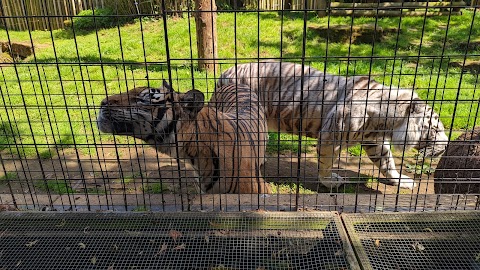 Heythrop Zoological Gardens