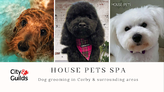 House Pets Spa - Dog Grooming