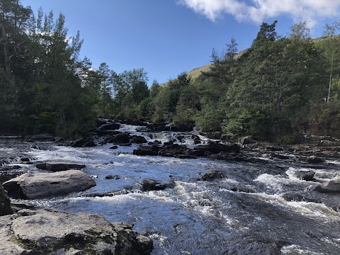 Experience Scotland's Wild