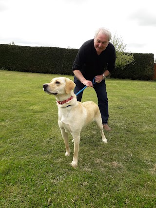 Grange Boarding Kennels