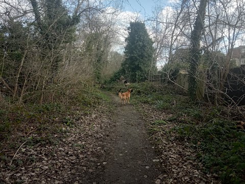 Ravensbury Park