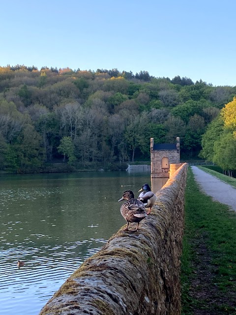 Linacre Reservoirs & Wood Car Park (Severn Trent) (Cash Only)
