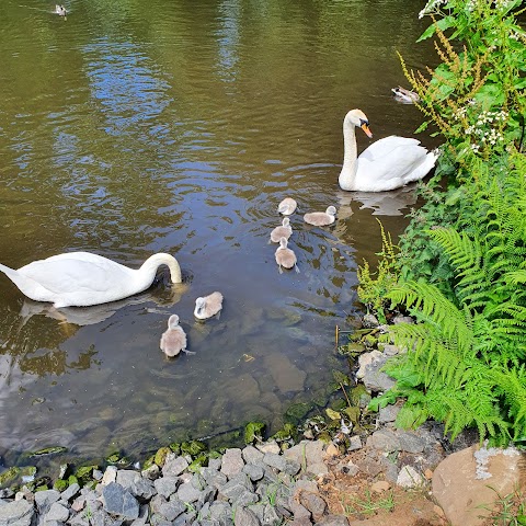 Six Mile Water Park Duck Pond Observation Deck