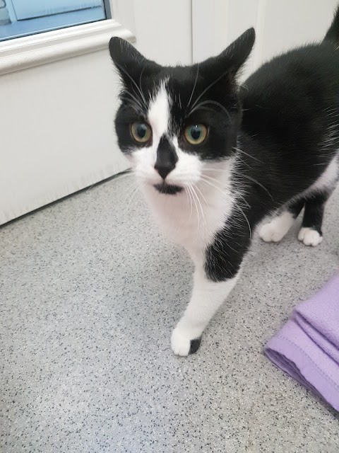 RSPCA Sheffield Animal Shelter