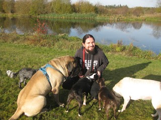 Waggy Tail Walks - Dog Walker in Banbury