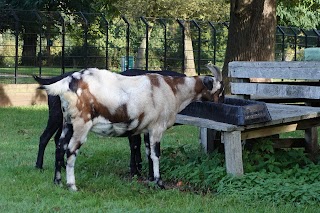 Goats Park