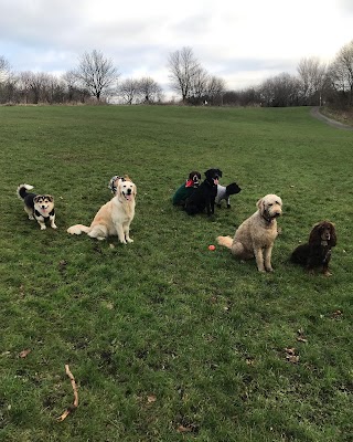 Canonmills Canines Edinburgh