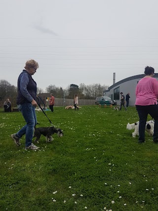 Sandhole Veterinary Centre - Kent