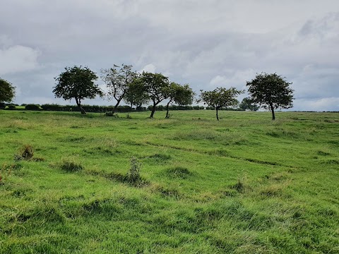 Wharram Percy Deserted Medieval Village