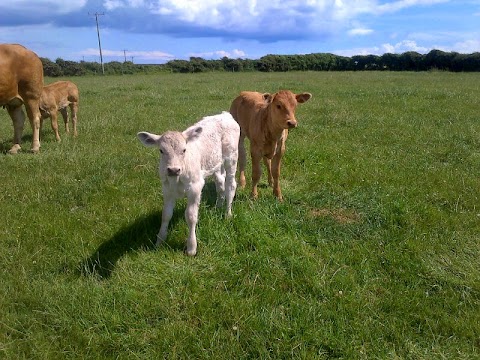 East Pilton Farm Holiday Cottage Gower