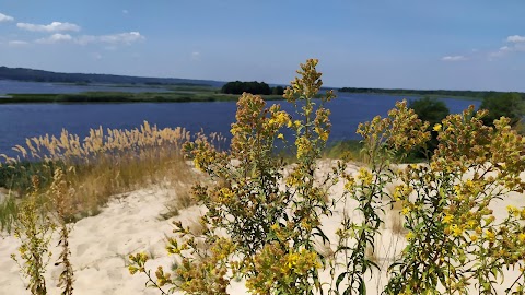 Ржищів берег Дніпра