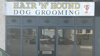 Hair N Hound