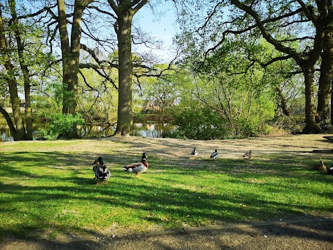 Caversham Park Pond