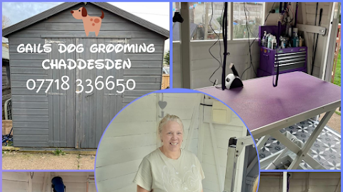 Gails Dog Grooming Service Derby