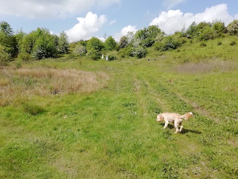 Baggeridge Country Park