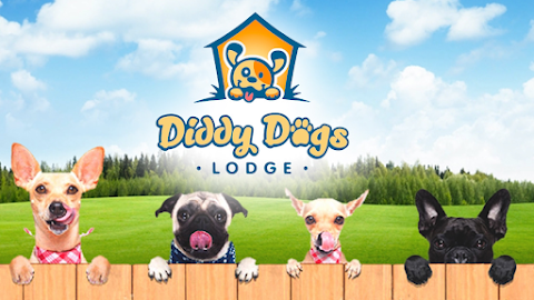Diddy Dogs Lodge Limited