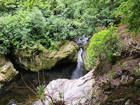 Tollymore Forest Park