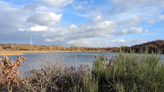 Wigan Flashes Local Nature Reserve