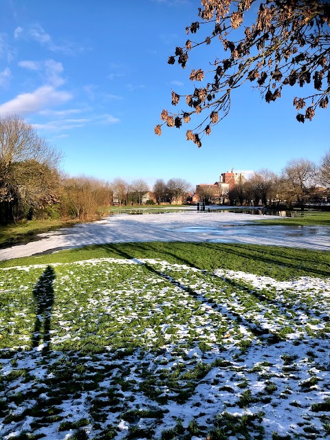 Selby Wildlife Pond