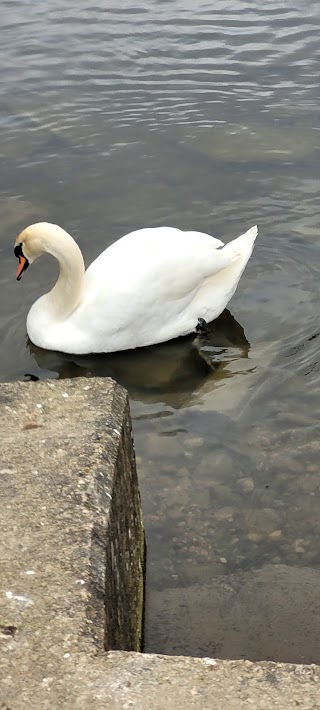 Holmebrook Valley Park