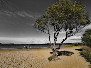 Kenfig Pool - South Hide