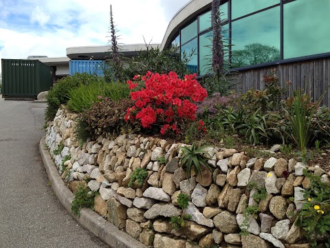 Falmouth University - Penryn Campus