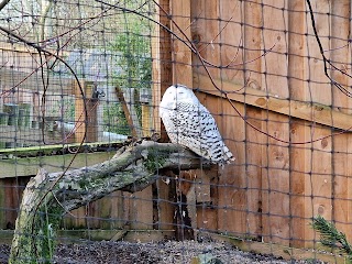 Northumberland Zoo