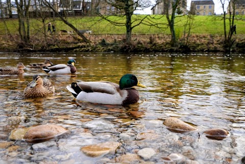 Ilkley Park/Riverside Gardens