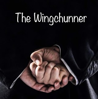 The Wingchunner