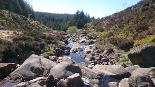 Yellow Water Picnic Site