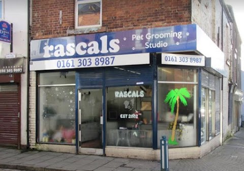 Rascals Dog Grooming Studio