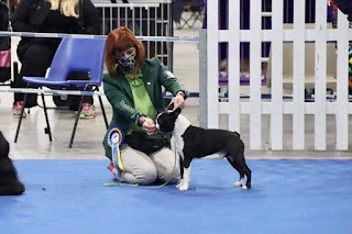 Glenauld Kennels & Cattery