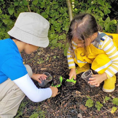 Buttercups Day Nursery