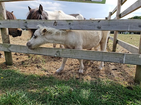 Animal Farm Adventure Park