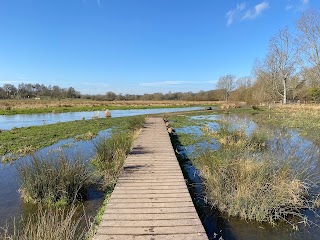 Marston Marsh