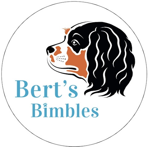 Bert's Bimbles