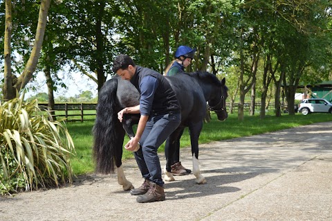 Chapelfield Veterinary Partnership