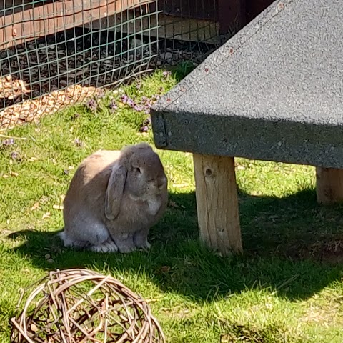 Wildheart Animal Sanctuary, Isle of Wight