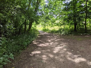 Caraway Drive Open Space