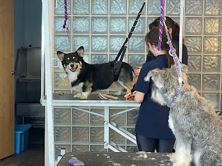 L.A. Dog Grooming