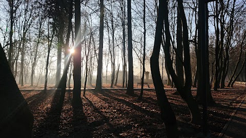 Парк-пам’ятка садово-паркового мистецтва садиби І.М. Терещенка