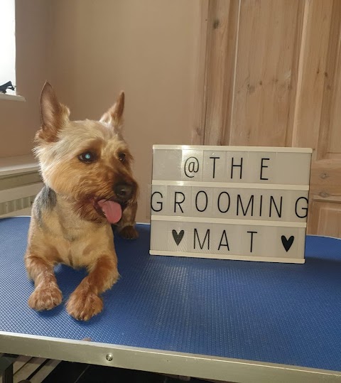 The Grooming Mat