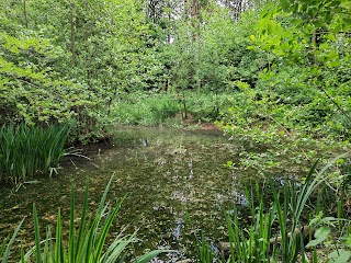 Walgrave Pocket Park